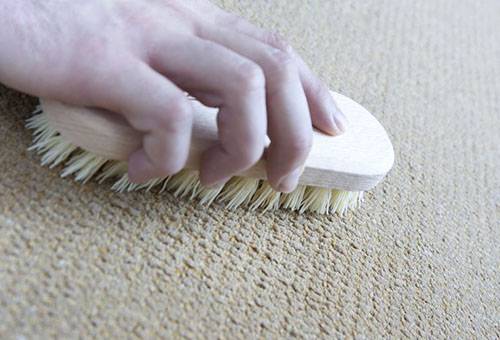 Carpet cleaning with a stiff brush