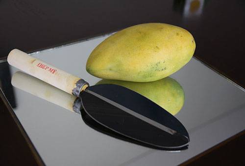 Cuchillo de mango