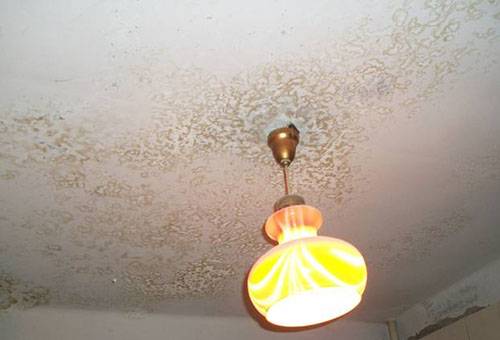 Mold on whitewash on the ceiling