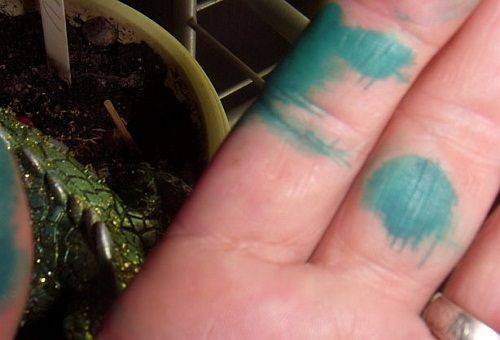 iekrāsota roka ar zaļu