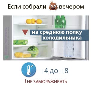 Koľko ukladať výkaly v chladničke