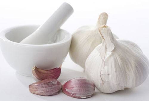Garlic and mortar
