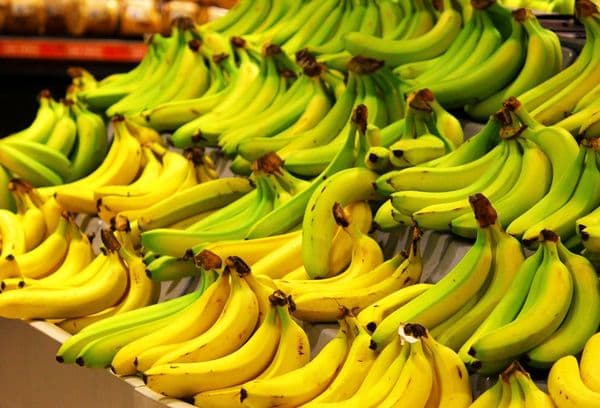 Muchos plátanos