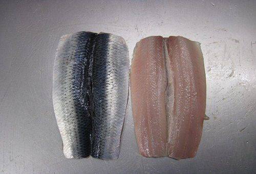 fillet herring