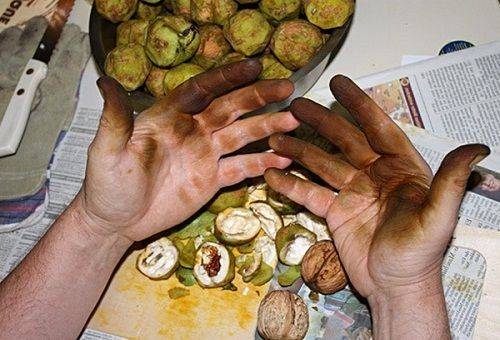 stains on the hands of nuts