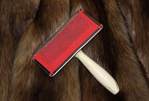 brushing a beaver coat