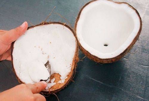 kokosriekstu mīkstums
