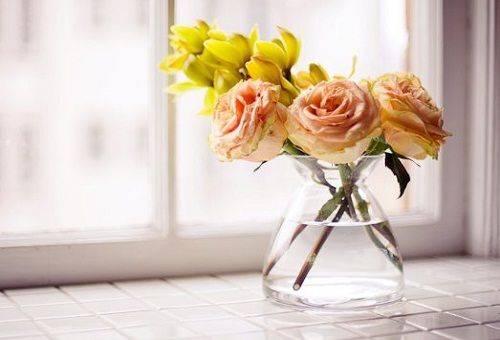 flores em um vaso