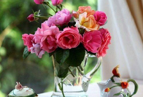flores em um vaso