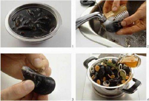 mussel cleaning
