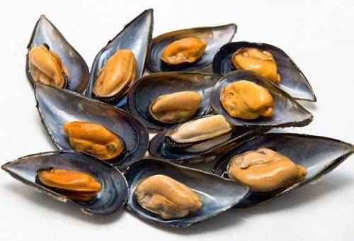 mga mussel sa isang plato