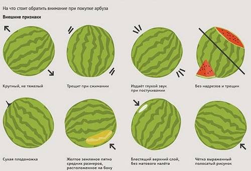 As regras para escolher a melancia