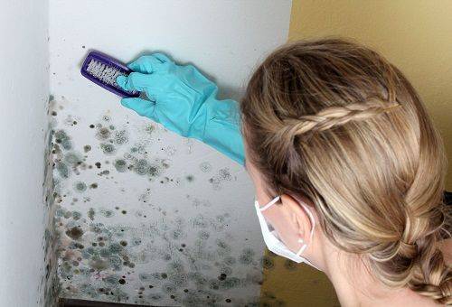 woman cleans the wall from mold