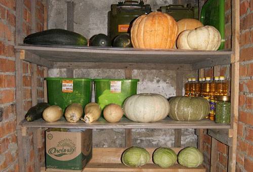 Storage of zucchini and pumpkins in the cellar