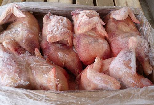 Frozen Chicken Carcasses