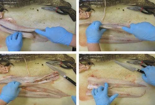 stages of cleaning fish 1