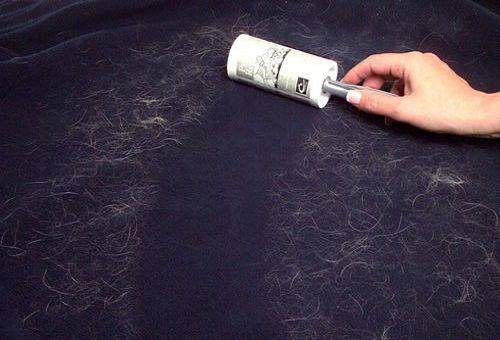 removing cat hair from fabric
