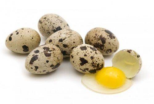 prepeličie vajcia