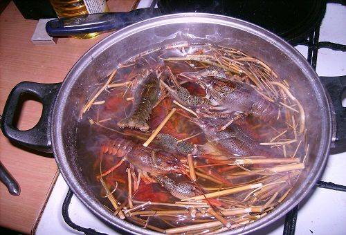 cangrejos de río en una sartén
