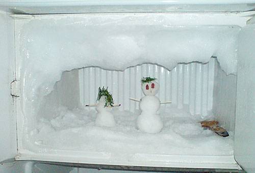 Muñeco de nieve en el congelador