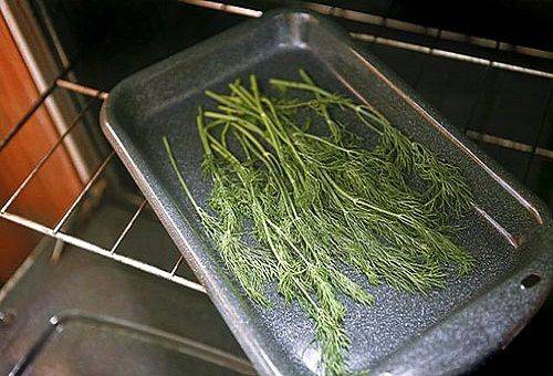 fennel on dill