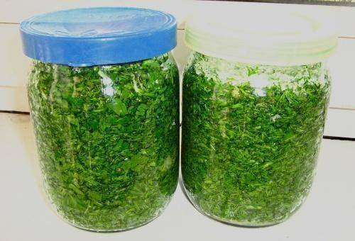 pickled dill in a jar
