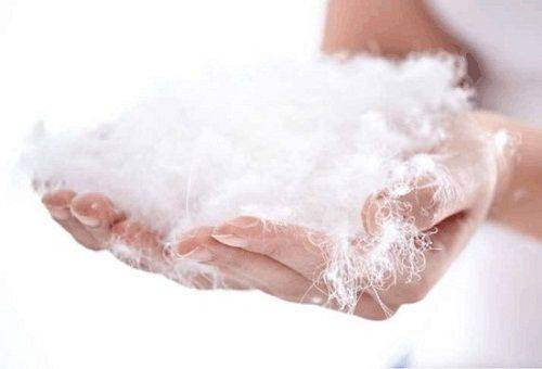 bio fluff in the hands of a woman
