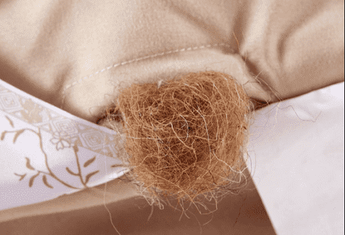 camel's wool