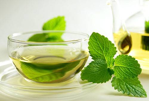 Tea with a sprig of fresh mint