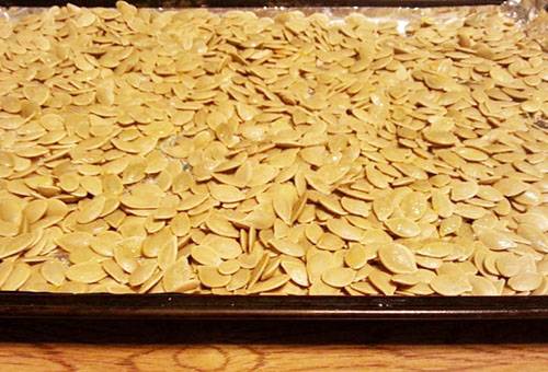 Secado de semillas de calabaza en el horno