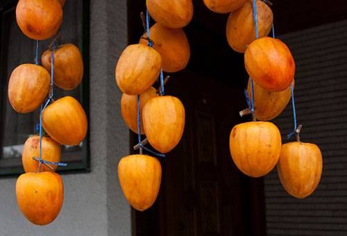 Persimmon drying outdoors