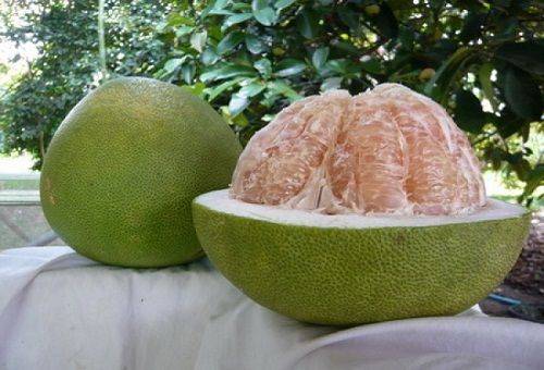 eksotisk frukt pomelo