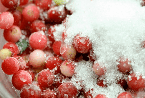 lingonberries ในน้ำตาล