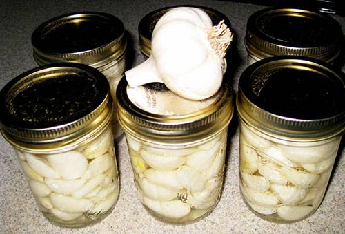 Storage of peeled garlic in jars