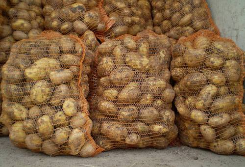 Batatas em sacos de malha