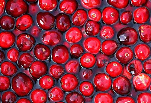 Soaked cranberries