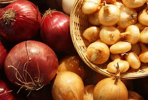 Storage of different types of onions