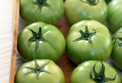 tomato hijau