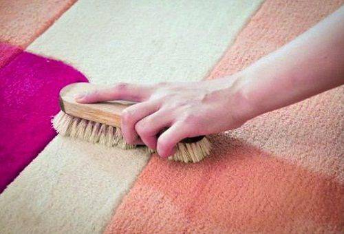 brushing carpet