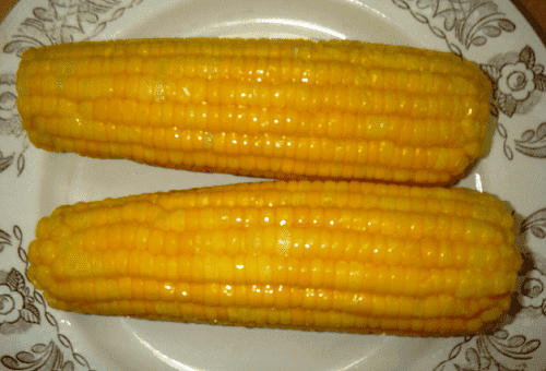 maïs bouilli