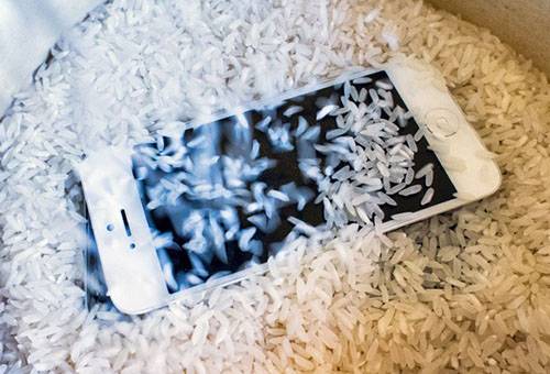 Drying the phone in rice