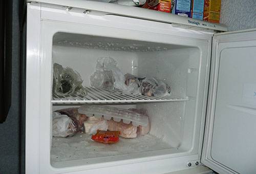 Freezer ng pagkain
