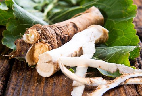 Horseradish root and leaves