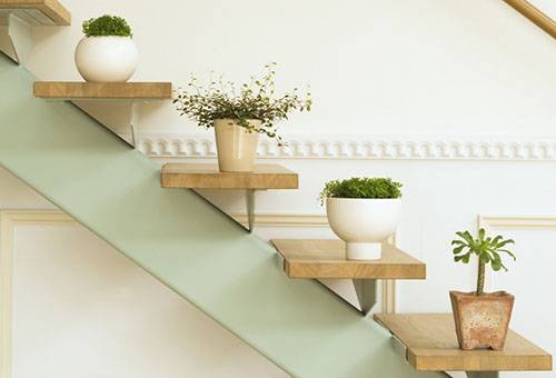Plantas en macetas en las escaleras