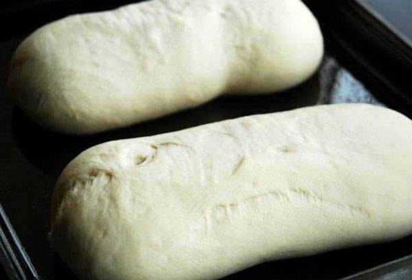 Defrosting Yeast Dough