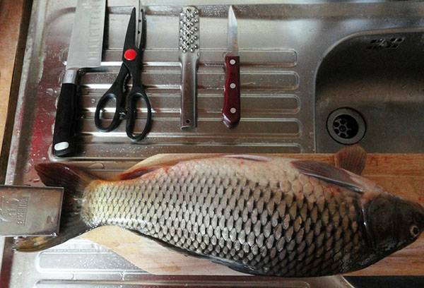 Carp preparation for cleaning