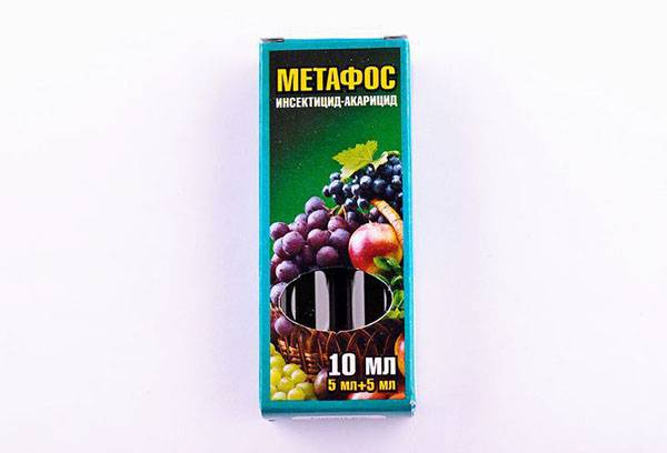 Insecticide Metaphos