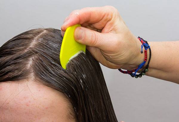 Tillämpa ett botemedel mot pedikulos i håret