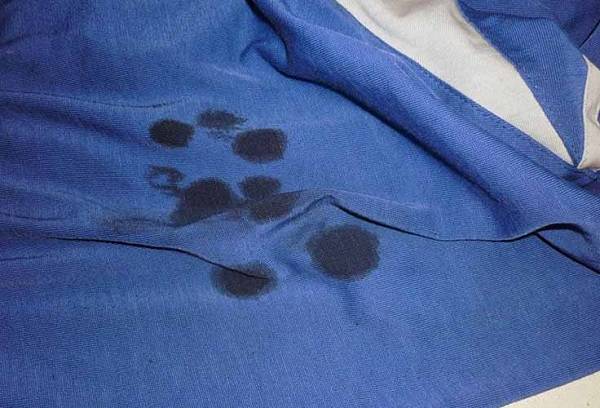 Wie man festes Öl von Kleidung wäscht
