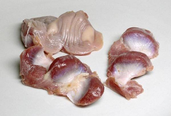 peeled chicken stomachs